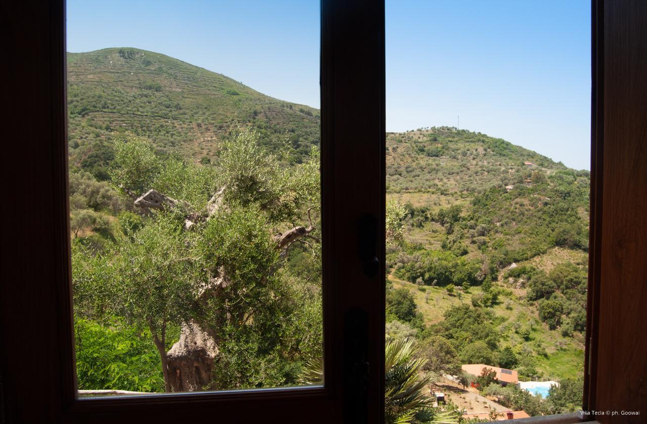 Villa Tecla Capri Leone Exterior foto