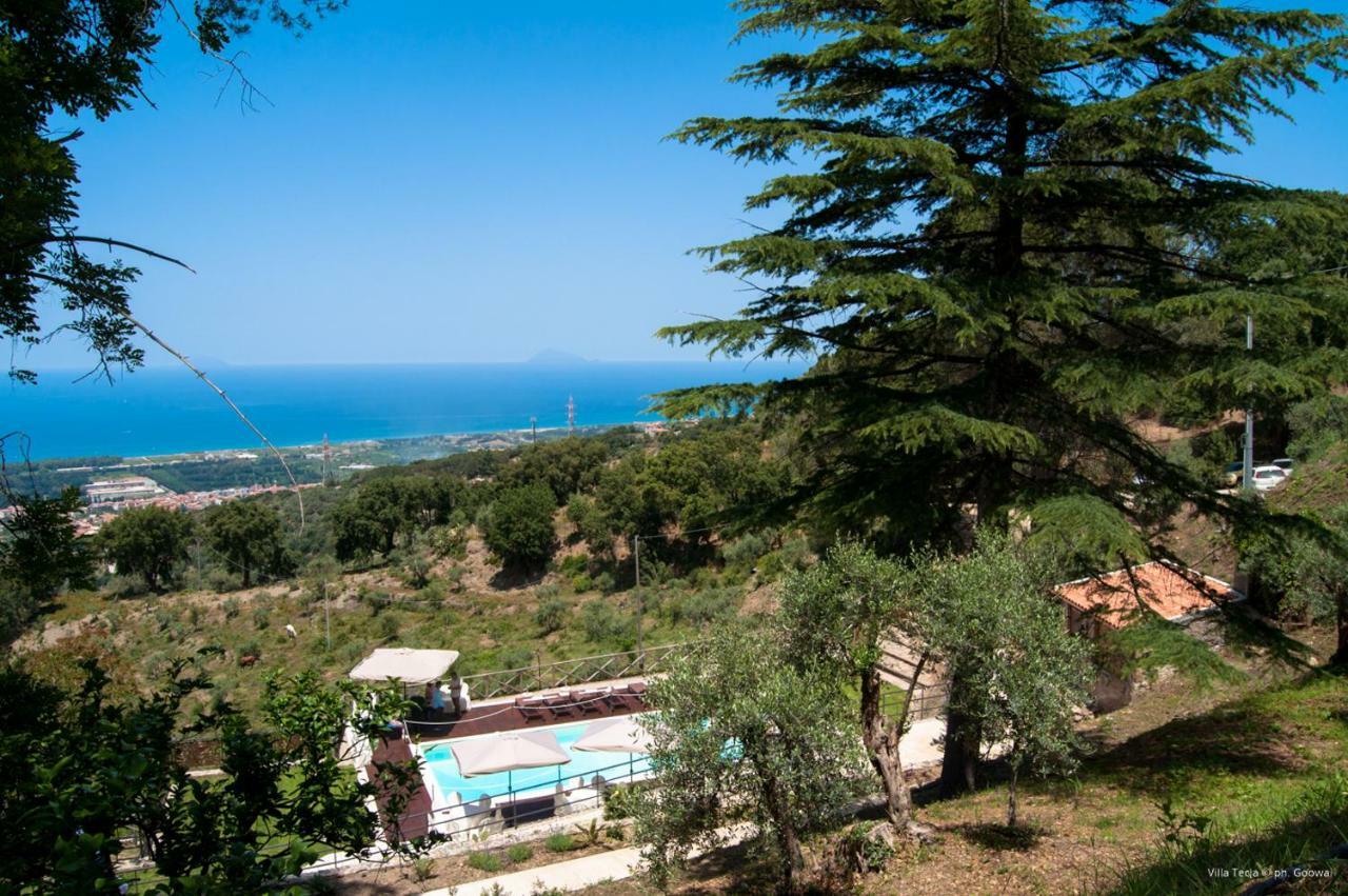 Villa Tecla Capri Leone Exterior foto